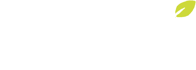 Lynx Excavaciones